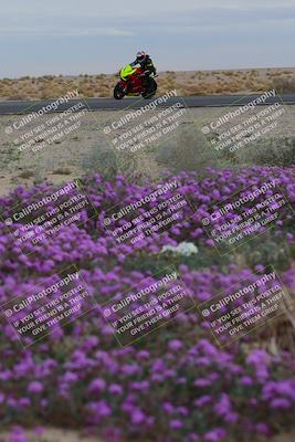 media/Jan-14-2023-SoCal Trackdays (Sat) [[497694156f]]/Turn 14 Exit Bloomig (145pm)/
